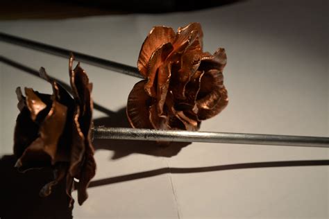 Copper Rose Perfect For Valentines Day Instructables