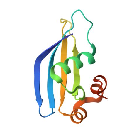 RCSB PDB - 8AA8: 30S ribosomal protein S24e from Thermococcus barophilus 