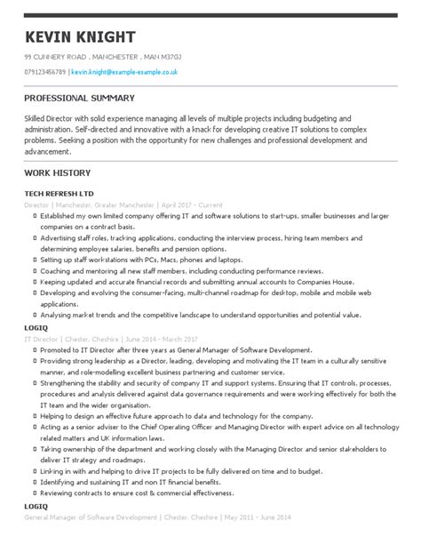 Tried And Tested Director CV Examples To Get You Hired