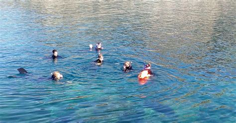 Gran Canaria Snorkeling Trip GetYourGuide