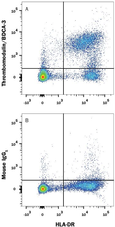 Human Thrombomodulin Bdca Antibody Mab Bio Techne