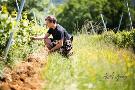 Domaine De Bel Air Romain Desbrosses D Couvrez Les Vins Du Centre