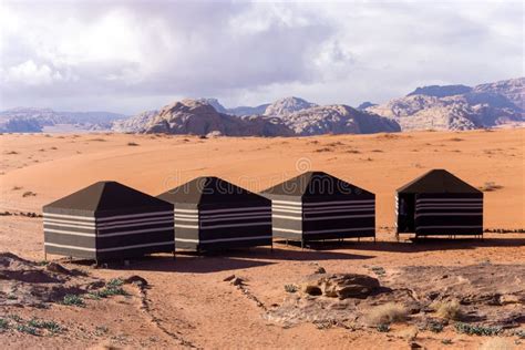 Beduino Y Vista Panor Mica Del Desierto Rojo En Wadi Rum Jordania