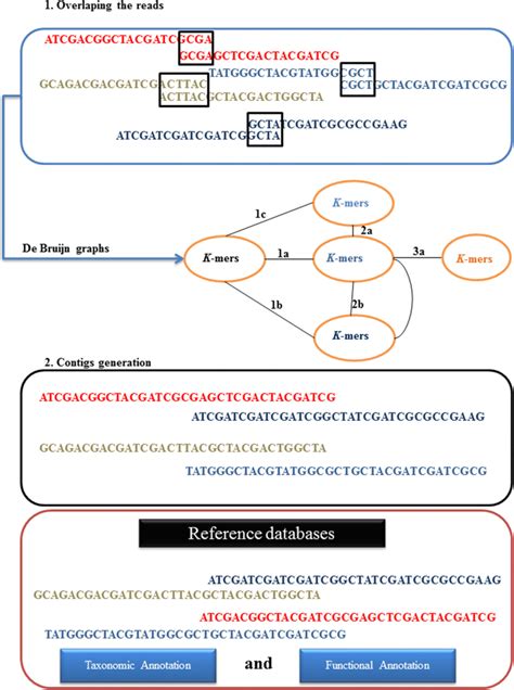 Genome Assembly And Annotation Algorithms Based On De Bruijn Graphs