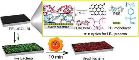 Figure 1 From Surface Disinfection Enabled By A Layer By Layer Thin Film Of Polyelectrolyte