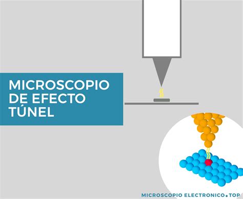 Microscopio De Efecto TÚnel Web De Microscopios