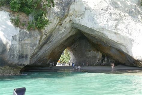 Hahei Explorer Cathedral Cove Boat Tour 2019 All You Need To Know