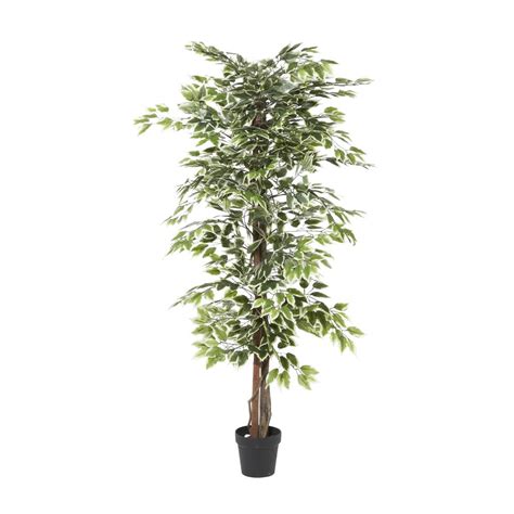 73 Inch Tall Artificial Plants & Flowers at Lowes.com