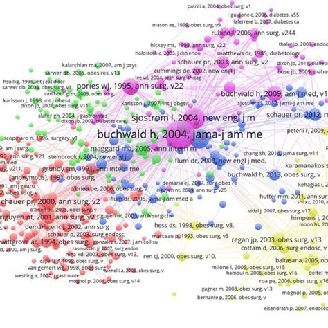 Network Visualization Map Of Co Citation Analysis Of Cited References Download Scientific Diagram