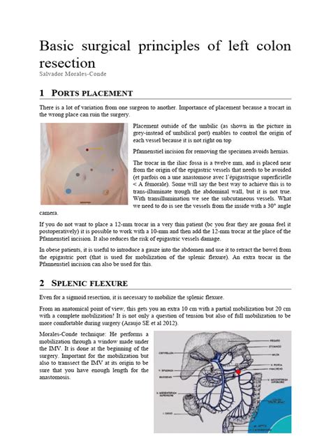 Basic Surgical Principles of Left Colon Resection | PDF | Surgery | Medical Specialties