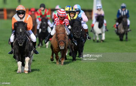 Gemma Pallett Riding Galloping Goring Win The Shetland Pony Gold Cup