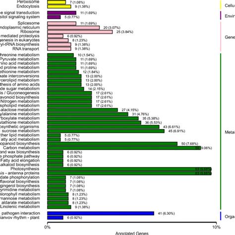 Gene Ontology Go Classifications Of Differentially Expressed Genes