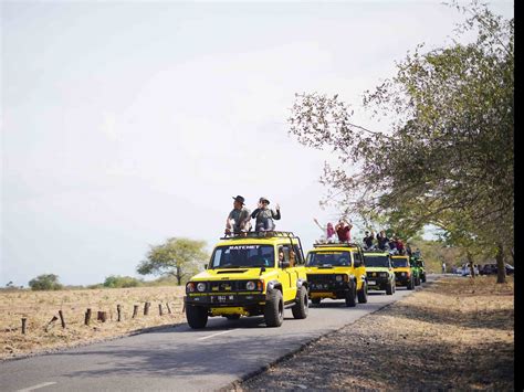 Safari To Taman Nasional Baluran Kokoon Hotel Banyuwangi