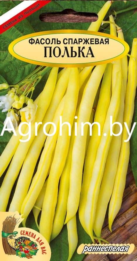 Семена фасоли спаржевой - купить оптом с доставкой | Agrohim.by
