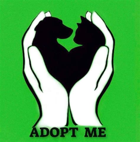 Adopt me- Hilfe für Ukrainische Fellnasen | Korosten