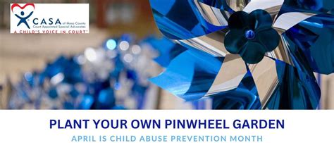 Court Appointed Special Advocates Of Mesa County Casa S Pinwheel