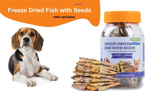 Freeze Dried Fish Dog Treats Whole Capelin Fish Seeds