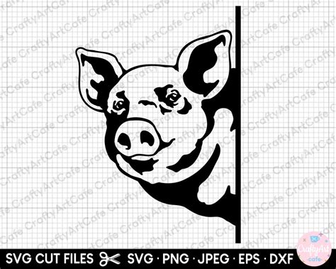 Pig Peeking Svg Pig Peeking Png Pig Peeking Eps Dxf Jpeg Etsy