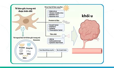 Liệu Pháp Enzyme Chữa Ung Thư Giải Pháp Tiềm Năng Cho Người Bệnh