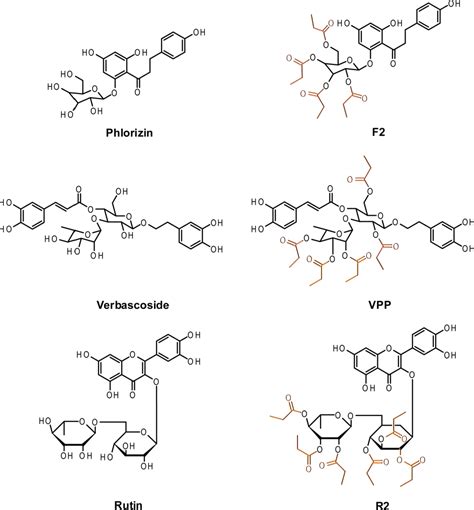 Figure 1 2 From Mechanistic And Structural Insights Into The Chemical