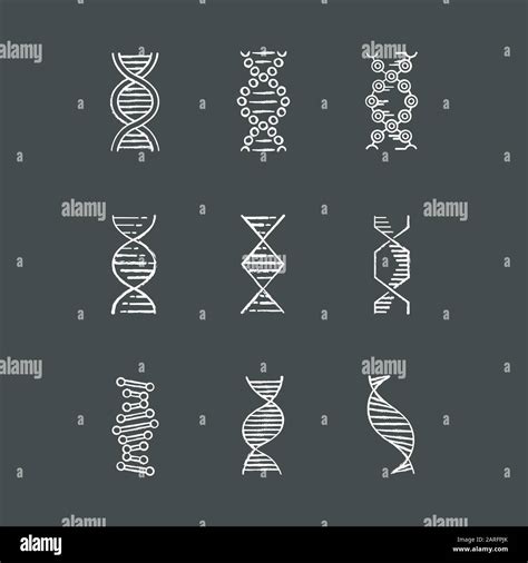 Jeu d icônes de craie de spirales d ADN Désoxyribonucléique hélice d