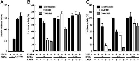 Effect Of Supplementation With Rxr ␣ On Lxr Inhibition Of Ppar ␣ Rxr ␣ Download Scientific