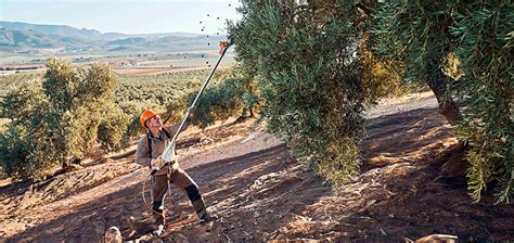 STIHL lanza al mercado el nuevo vareador Spa 130 más eficaz y