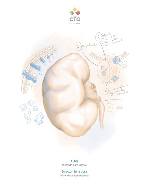 Manual CTO Urología 12 edición Grupo eTO Editorial Autor