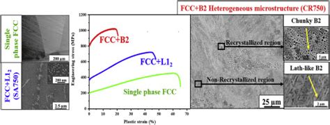 Engineering Multi Scale B2 Precipitation In A Heterogeneous Fcc Based