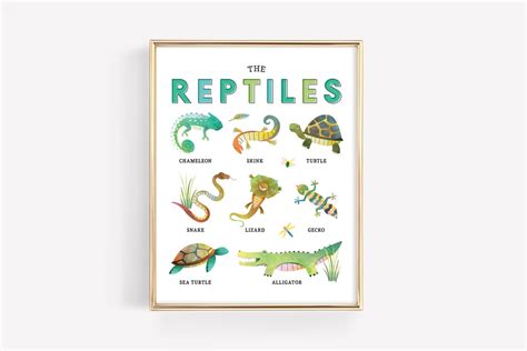 Reptiles Education Printable Reptile Lizard Snake Homeschool Learning