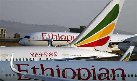 Ethiopian Airlines Opens Transport Hub in COVID-19 Battle - Africa Defense Forum