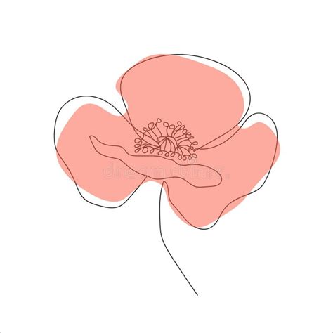 Poppies Flower Continuous Line Drawing Abstract Minimal Poppy Stock