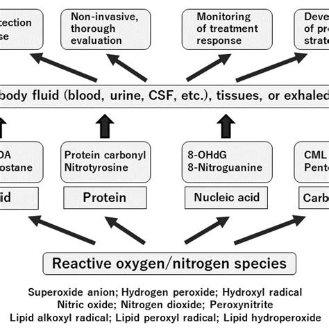 Perspective On The Clinical Use Of Oxidative Stress Biomarkers