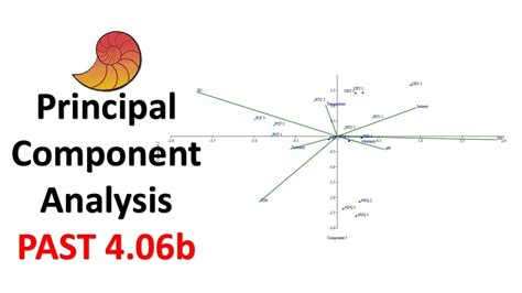 Principal Component Analysis Pca Ordination Analysis Past 406b