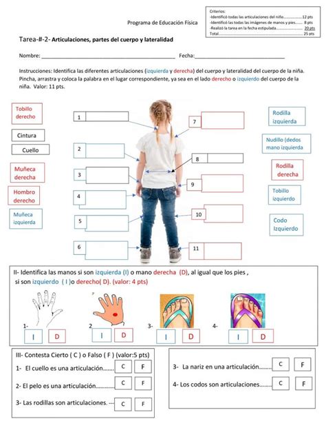 Ficha Online De Artiuulaciones Y Lateralidad Para Primero Y Segundo Grado Actividades