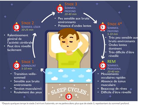 Les Cycles Du Sommeil