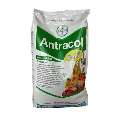 Fungicid Antracol 70 WP 1 Kg Magazinul De Plante