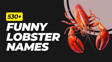 Funny Lobster Names: 297+ Ideas & Generator (2024)