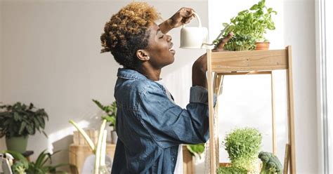 Come Coltivare Un Orto In Casa Donna Moderna