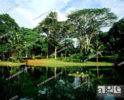 Garden of the Istana, Singapore, Stock Photo, Picture And Rights ...