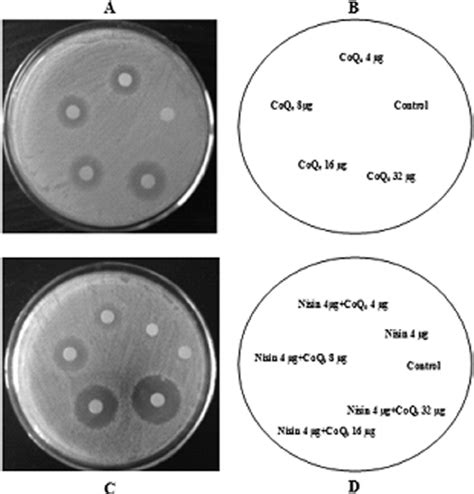 Agar Disk Diffusion Assay For Nisin Combined With Coq 0 Against