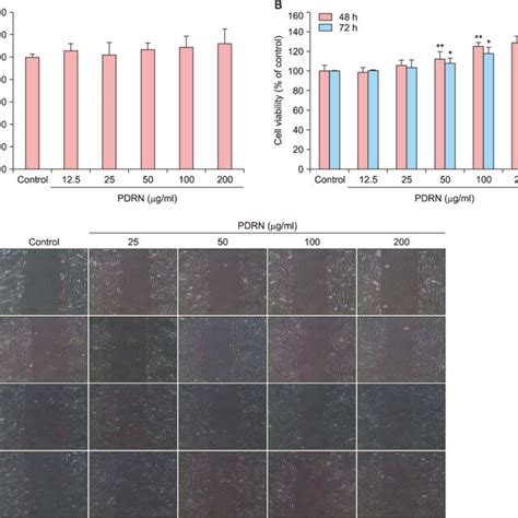 Effects Of Polydeoxyribonucleotide PDRN On Cytotoxicity And