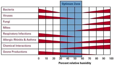 Why Is Year Round Humidity Important