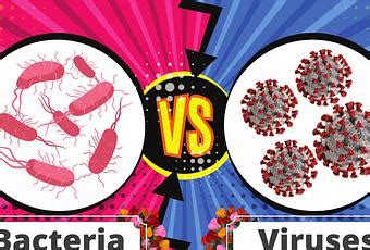 What Is Difference Between Viruses And Bacteria Paperblog