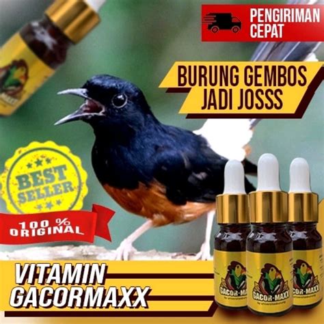 jual gacor maxx vitamin burung kicauan murai batu kacer kenari
