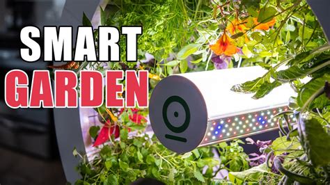 Top 5 Smart Indoor Gardening Kits - Gardening Ace