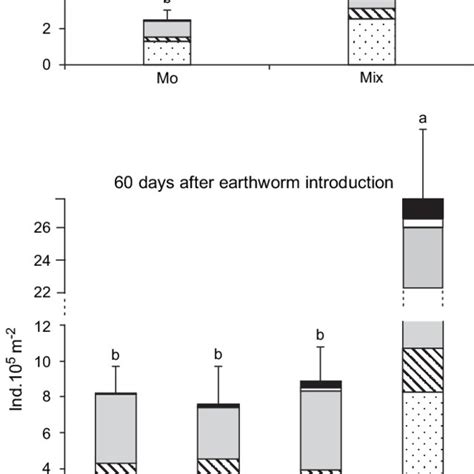 The Abundance Of Nematodes Total Numbers And Trophic Groups In The