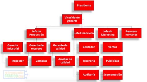 Organigrama General De Coca Cola Ponasa