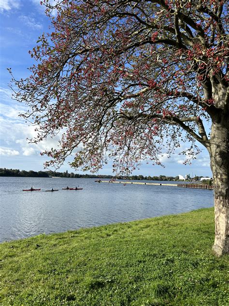 Herbstferien Gesch Ftsstelle Tsv Ganderkesee E V