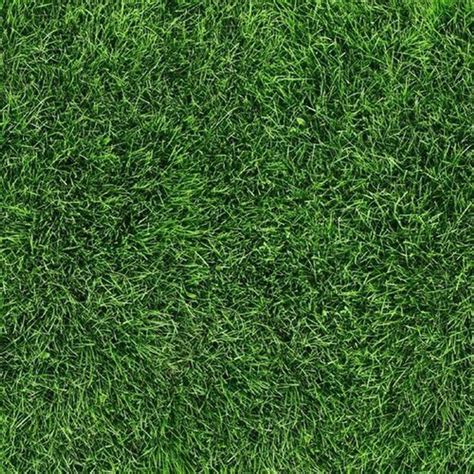 Artificial Turf In Bhubaneswar Odisha Get Latest Price From